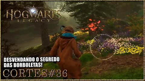 HOGWARTS LEGACY[CORTE#36]DESVENDANDO O SEGREDO DAS BORBOLETAS #hogwartslegacybrasil #tomoyosan