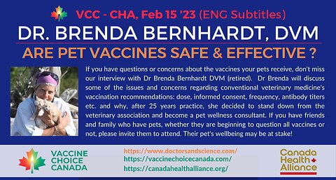 Dr. Brenda Bernhardt DVM Are Pet Vaccines Safe and Effective?