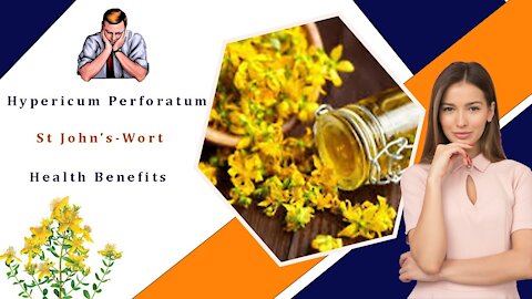 Hypericum Perforatum (St John's- Wort) Health Benefits