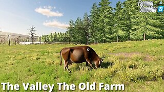 COWS? The Valley The Old Farm 6 FS22