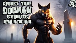 Spooky True Dogman Stories Read Aloud in the Rain Audiobook Vol. 1