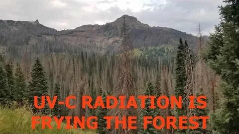 Deadly Radiation Reaching Earths Surface, Frying Forests & Crops, Latest Scientific Essay
