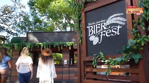 Busch Gardens Bier Fest |Morning Blend