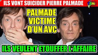 ALERTE PIERRE PALMADE VICTIME D'UN AVC, ILS VONT LE FAIRE TAIRE ! #mimimarchand #macron #karlzero