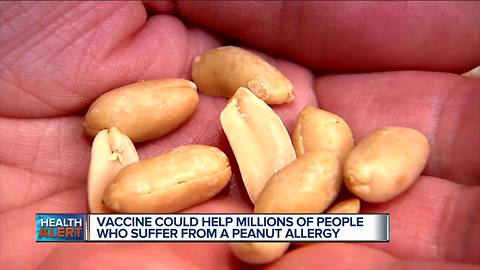 University of Michigan study: Vaccine suppresses peanut allergies in mice