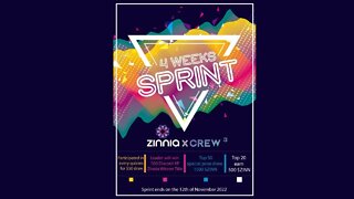 Zinnia network Crew3 Sprint. Top 20 places will all earn 500 $ZINN