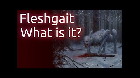 What is a FleshGait?