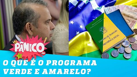 Rogério Marinho explica o programa Verde e Amarelo