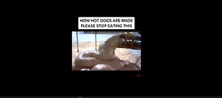 How Hot Dogs Are Made