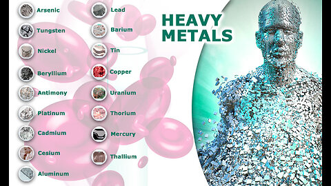 How Your Body Suffers from Heavy Metal Poisoning