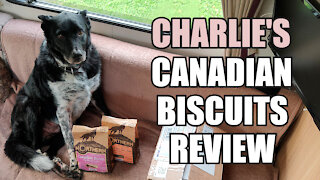 Charlie REVIEWS the Northern Biscuit Bakery DOG TREATS #vanlife