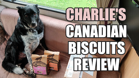 Charlie REVIEWS the Northern Biscuit Bakery DOG TREATS #vanlife