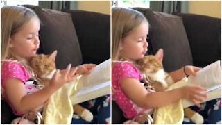 Tenera bambina legge una fiaba al suo gatto per farlo addormentare!