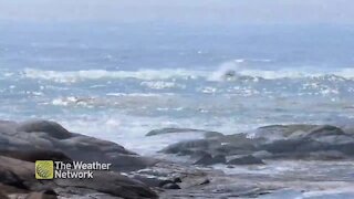 Waves roll in and crash onshore on a sunny day at Peggy's Cove