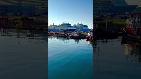 Cruise ships docked in beautiful Victoria, BC #royalcaribbean #cruiseship