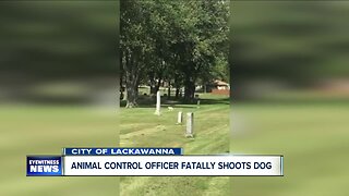 Dog shot and killed by Lackawanna animal control officer