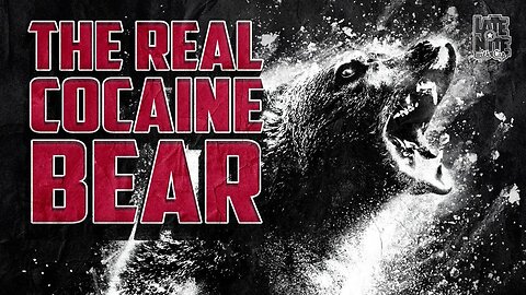 A True Story: The Real Cocaine Bear | Late Nite with Cap | Main Topic