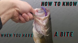 How to Know When You Have A Bite?!