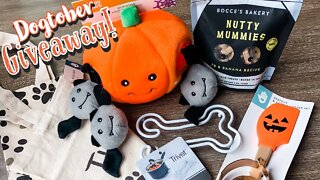 Win this Halloween Dogtober GIVEAWAY! 🎃