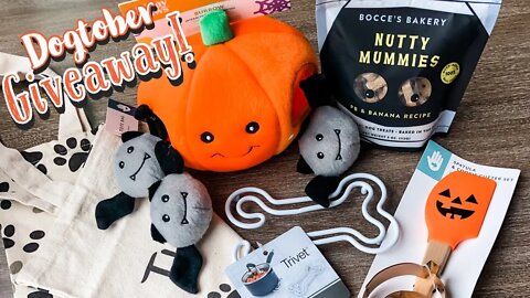 Win this Halloween Dogtober GIVEAWAY! 🎃
