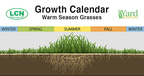 Warm Season Spring Lawn Tips