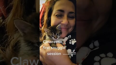 Rescue Kitten Clawreese first snuggle season