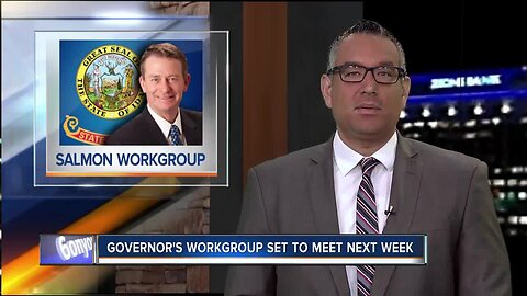 Governor's salmon work group starts work June 28