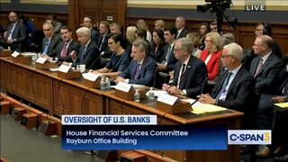 Dem Rep Tlaib Is REJECTED When Asking Bank CEO’s To Stop Funding Fossil Fuels