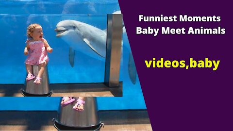 Funniest Moments Baby Meet Animals- videos,baby