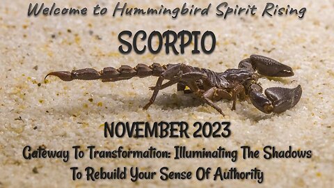 SCORPIO Nov 2023 - Gateway To Transformation: Illuminating The Shadows To Rebuild Your Authority