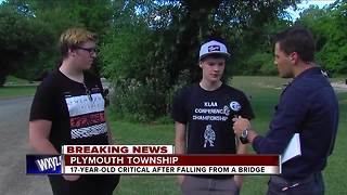 Teen boy in critical condition after falling from bridge into water at Hines Park