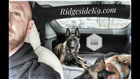 Tesla Model S Plaid & Belgian Malinois- why not.. VA to DC to VA - all in a days work.