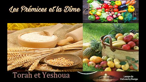 Les Prémices et la Dîme - Prémices de l'Orge Dimanche 18 Avril 2021 ☆ Torah et Yeshoua