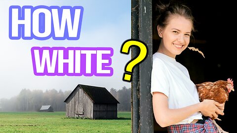 The Whitest States of America