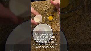 Fresh Eggs vs 6 Month Old Eggs (Water Glassed) #shorts