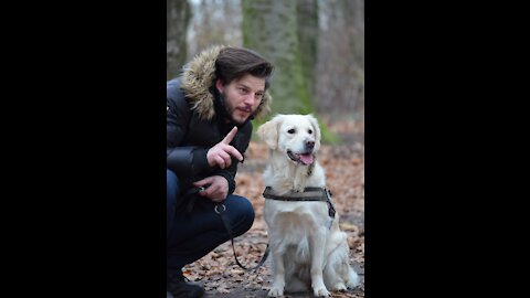 Guard Dog Training Step by Step!