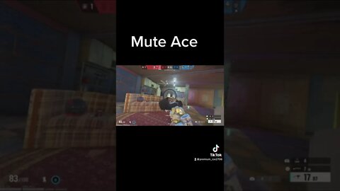 Mute Ace on Favela