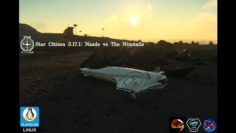 Star Citizen 3.17 Adventures of The Darth Tux: Naade vs The Ninetails (Stream)