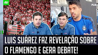 "Ele foi BEM SINCERO e..." Luis Suárez FAZ REVELAÇÃO sobre o Flamengo em ENTREVISTA e GERA DEBATE!