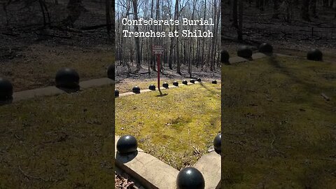 Confederate Burial Trenches on the Shiloh Battlefield