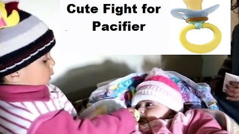 Two babies fight over pacifier