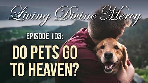 Do Pets Go To Heaven? - Living Divine Mercy TV Show (EWTN) Ep.103 with Fr. Chris Alar