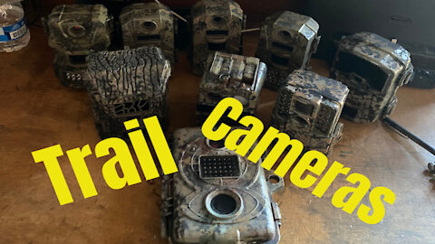 trail camera brands