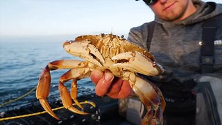 Catch N' Cook Crabbing: Dungeness Crab Boil 🦀🦀