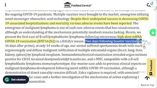 🟨 醫學研究報告 : 首例在 BALB/c 小鼠靜脈內加強注射 BNT162b2 mRNA COVID-19 疫苗後不久診斷出的致命性 B 細胞淋巴母細胞淋巴瘤 (B-LBL) 病例