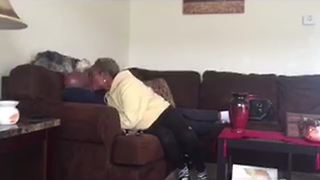 "Jealous Dog Won’t Let Mommy and Daddy Kiss"