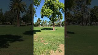 Homeless in the park - Mesa Arizona