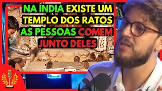 POR QUE ALGUNS ANIMAIS SÃO SAGRADOS NA ÍNDIA? | Cortes de Podcast