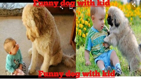 Funny dog video with kid.Funny baby dog video with kids.Lovely kid with funny dog.