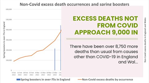Excess Deaths Not From Covid Approach 9,000 in Last 10 Weeks